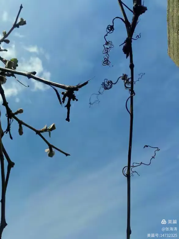 朴实无华的四句话